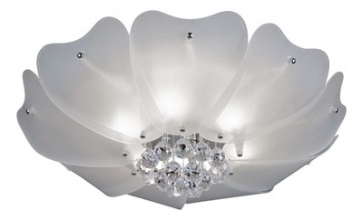 Накладной светильник Lightstar Lobo 804020 804020 - фото 733814