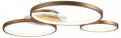 Накладной светильник Freya FR10014CL-L87G MY_FR10014CL-L87G