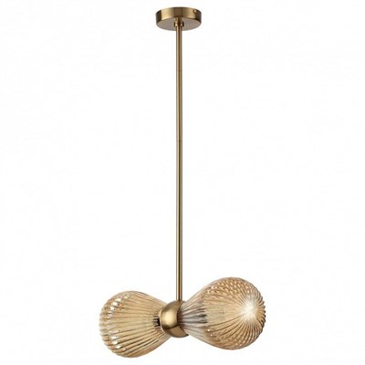 Подвесной светильник Odeon Light Elica 5402/2 OD_5402_2