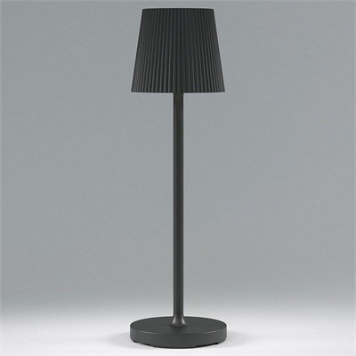 Настольная лампа декоративная Elektrostandard Mist a063970 ELK_a063970