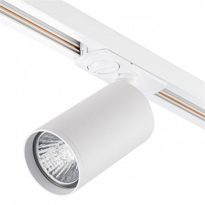 Светильник на штанге Escada 20001 20001TRA/01 SWH ESC_20001TRA_01_SWH