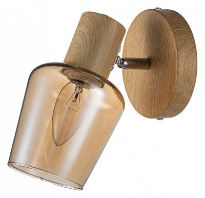 Спот Escada Woody 691/1A esc_691_1a