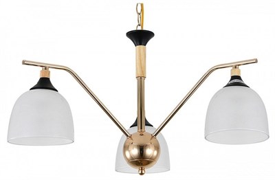 Подвесная люстра Escada Actinidia 2123/3P esc_2123_3p