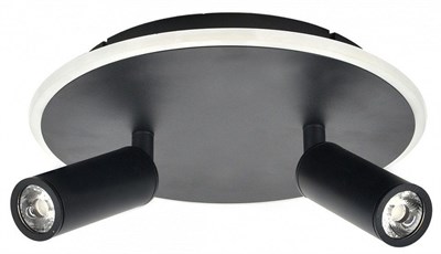 Светильник на штанге Escada 20046LED 20046SMA/02LED BK esc_20046sma_02led_bk