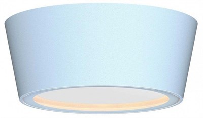 Накладной светильник Favourite Fantum 4676-1U FV_4676-1U