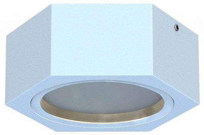 Накладной светильник Favourite Fantum 4665-1U FV_4665-1U