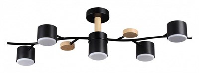 Потолочная люстра Lumion Crypto 8194/5C lmn_8194_5c