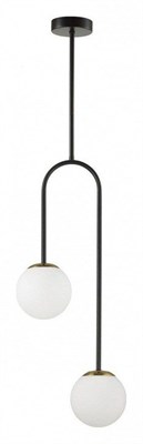 Светильник на штанге Lumion Moderni 6500/2C LMN_6500_2C