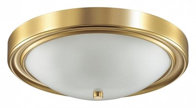 Накладной светильник Lumion Nina 5259/3C lmn_5259_3c