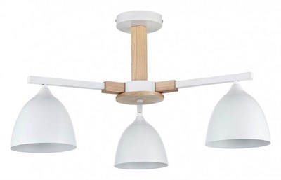 Люстра на штанге Lumion Colange 8095/3C lmn_8095_3c