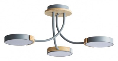 Люстра на штанге Lumion Arley 5655/54CL lmn_5655_54cl