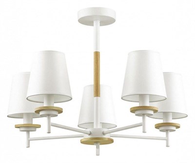 Люстра на штанге Lumion Betsy 4497/5C lmn_4497_5c