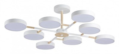 Люстра на штанге Lumion Brad 5653/99CL lmn_5653_99cl