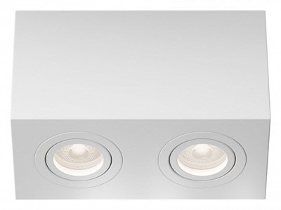 Накладной светильник Maytoni Atom C017CL-02W my_c017cl-02w