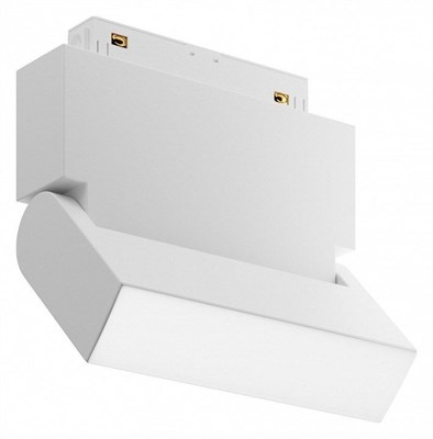 Накладной светильник Maytoni Basis Rot TR075-2-10W3K-W MY_TR075-2-10W3K-W