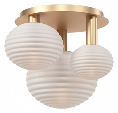 Потолочная люстра Maytoni Halo MOD268CL-03G MY_MOD268CL-03G