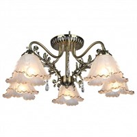 Потолочная люстра Omnilux Petrara OML-54807-05 OM_OML-54807-05