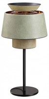 Настольная лампа декоративная Odeon Light Kressa 4992/1TA od_4992_1ta