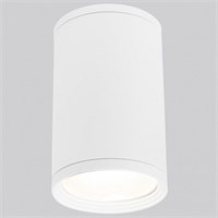 Накладной светильник Elektrostandard Light a056333 ELK_a056333