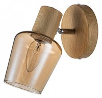 Спот Escada Woody 691/1A esc_691_1a