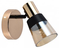 Спот Escada Brandy 684/1A ESC_684_1A