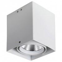 Накладной светильник Favourite Flashled 1986-1U FV_1986-1U