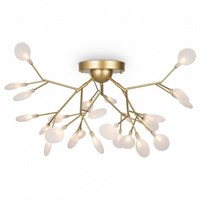 Потолочная люстра Freya Florencia FR5049CL-27G MY_FR5049CL-27G