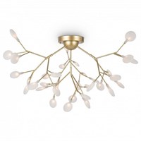 Потолочная люстра Freya Florencia FR5049CL-36G MY_FR5049CL-36G