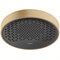 Верхний душ Hansgrohe Rainfinity 26228140 Бронза 26228140 - фото 389704