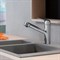 Смеситель для кухонной мойки Hansgrohe Focus, 71829000, с вытяжным изливом, цвет хром 71829000