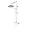 Душевая система Damixa Option DX218091000 с термостатом, Хром DX218091000