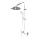 Душевая система Damixa Option DX218092000 с термостатом, Хром DX218092000