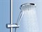Ручной душ Grohe Euphoria 27220000 Хром gr_27220000