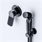 Гигиенический душ со смесителем AM.PM X-Joy F40H85A22 Черный F40H85A22