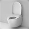 Унитаз-биде AM.PM Sensation CCC301700SC подвесной с сиденьем Микролифт CCC301700SC