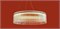 Подвесной светильник Freya Rain FR5546PL-L60W MY_FR5546PL-L60W