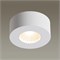 Накладной светильник Odeon Light Bene 4282/7CL OD_4282_7CL