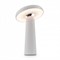 Настольная лампа декоративная Freya Mushroom FR6109TL-L4W MY_FR6109TL-L4W