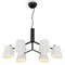 Подвесная люстра Freya Nordic FR5127PL-06B MY_FR5127PL-06B