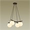 Подвесная люстра Lumion Randi 5212/4 lmn_5212_4